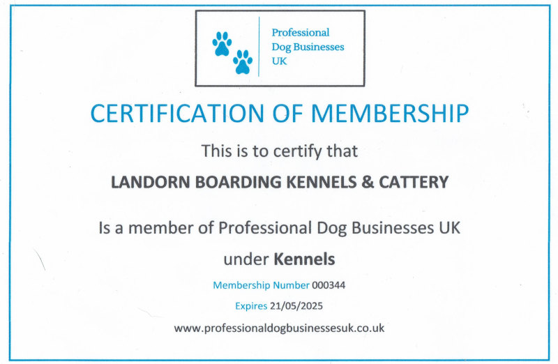 certification professional dog business uk